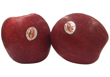 ĀBOLI CRIMSON SNOW KG