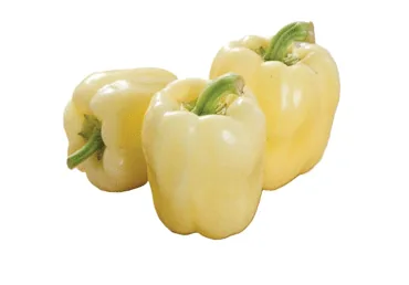 PAPRIKA BALTĀ KG