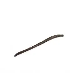 VANIĻAS PĀKSTS BOURBON 13-15 CM KAPSULĀ