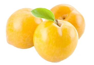 PLŪMES DZELTENĀS KG