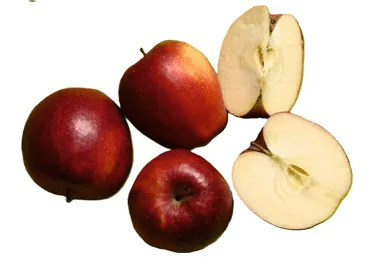 ĀBOLI PRIMO 90+ KG