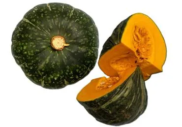 ĶIRBIS KABOCHA KG