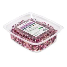 REDĪSU DĪGSTI 50G
