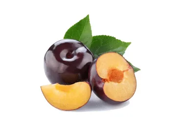 PLŪMES TUMŠĀS LIELĀS KG