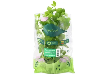 PIPARMĒTRA PODIŅĀ LEAFOOD GAB.