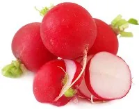 REDĪSI SARKANI, 1KG, GAB