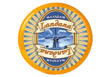 SIERS MAASDAM LANDANA KG
