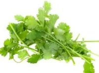 KINZA FASĒTA, 30G, GAB