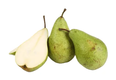 BUMBIERI MIGO KG