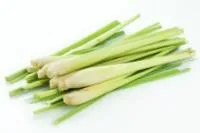CITRONZĀLE, 2.ŠĶ, KG
