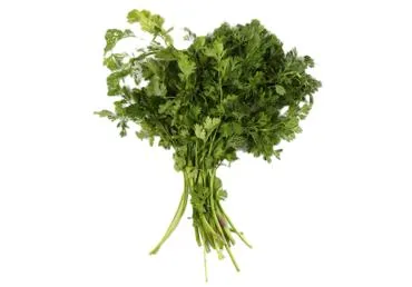 KORIANDRS 100G