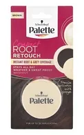 PALETTE COMPACT ROOT RETOUCH MATU SAKŅU TONĒTĀJS, BROWN, 3G