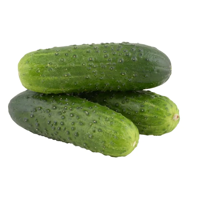 GURĶI ĪSIE, KG