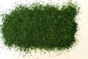 SALDĒTAS SAGRIEZTAS DILLES, HERBAFROST, 1KG