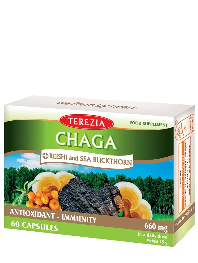Terezia Chaga sēnes + rēiši un smiltsērkšķis, 60 kapsulas
