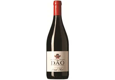 Vīns Dao Casal Mor Tinto 13% 0,75 l