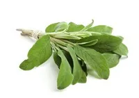 SALVIJA, FASĒTA, 30G., GAB