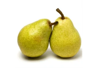 BUMBIERI GUYOT KG