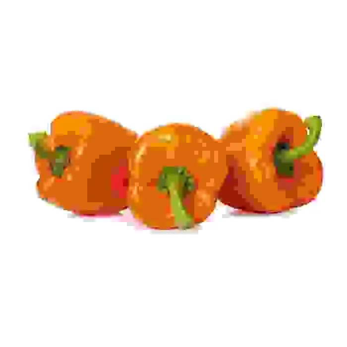 PAPRIKA ORANŽA 80+MM 1. ŠĶIRA KG