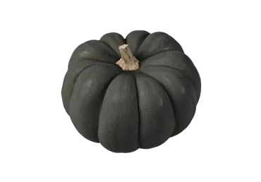 ĶIRBIS BLACK KG