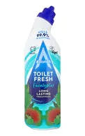 ASTONISH TOILET FRESH EUCALYPTUS TUALETES PODU TĪRĪŠANAS GELS, 750ML