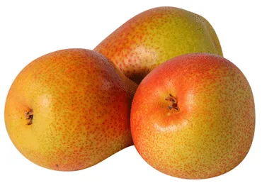 BUMBIERI FORELLE KG