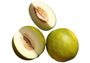 MELONES LIMELON KG
