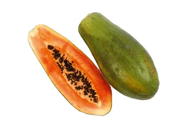 PAPAIJA FORMOSA KG