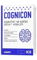 ICONFIT COGNICON GARĪGĀS VEIKTSPĒJAS ATBALSTAM, N30, 30 KAPSULAS