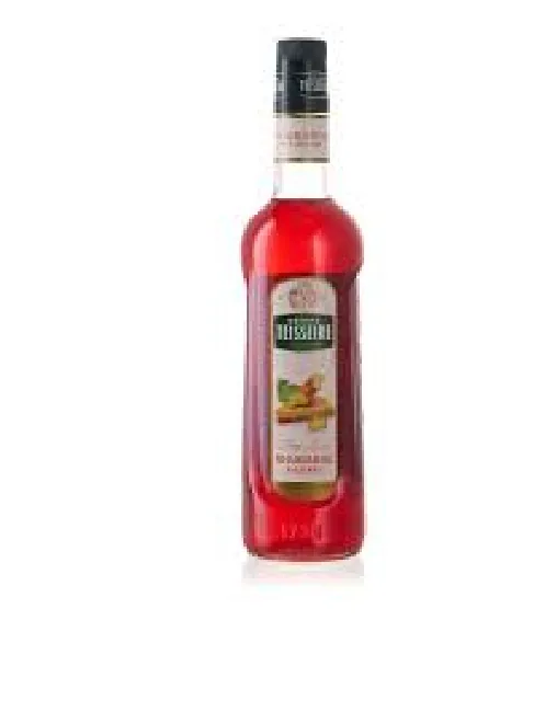 SĪRUPS TEISSEIRE RABARBERU, 0.7L (DEP)