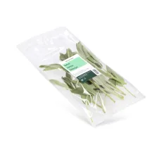 SALVIJA 20G