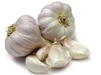 ĶIPLOKI FASĒTI 2.ŠĶIRA, 100G, GAB