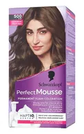 PERFECT MOUSSE MATU KRĀSA, 5-0 (500) MEDIUM BROWN