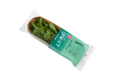 GARŠAUGU MAISĪJUMS GAĻAI 15G