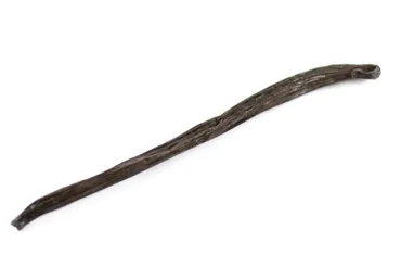 VANIĻAS PĀKSTS BOURBON KAPS. 13-15CM