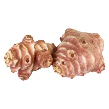 TOPINAMBŪRS KG