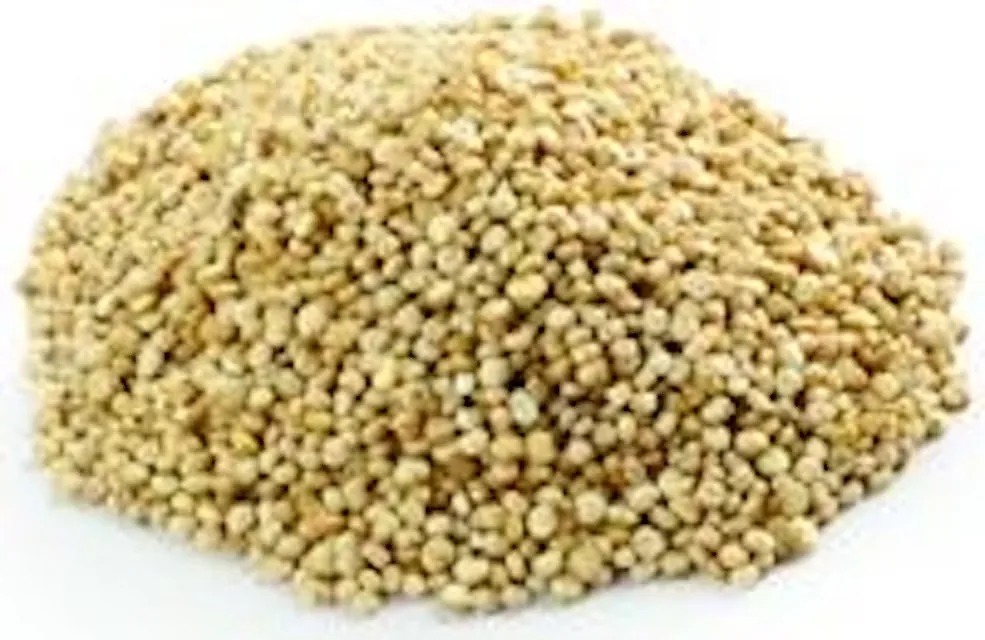 BALTĀS KVINOJAS SĒKLAS, 1KG