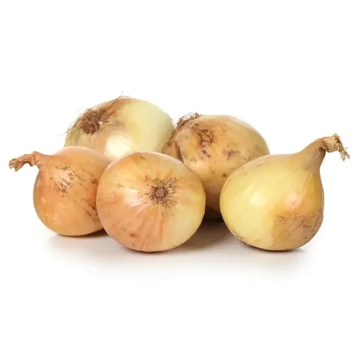 SĪPOLI 45+ KG 2.5K.