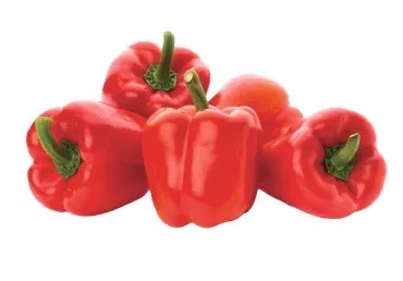 PAPRIKA SARKANĀ 70-90MM KG 