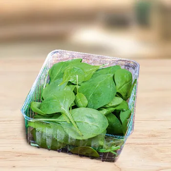 SALĀTI SPINĀTI 100G 2.ŠĶ ITĀLIJA