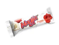 BIEZP. SIERIŅŠ MAGIJA AR MAGONĒM  45G