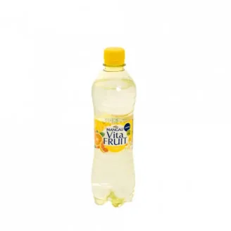 DZĒRIENS MANGAĻI VITAFRUIT CITRUSAUGĻU 500ML